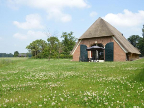 Гостиница Modern Farmhouse in Geesteren with Terrace  Geesteren